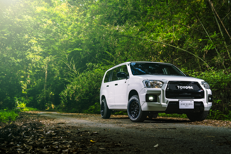 Exceed Tokyo Probox 160 SERIES